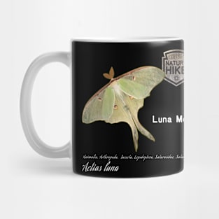 Luna Moth Taxonomy Mug